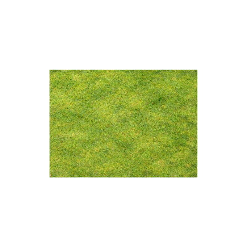 Photo_gallery_2.png